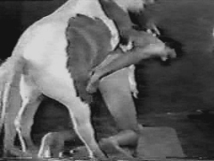 Vintage animal porn video